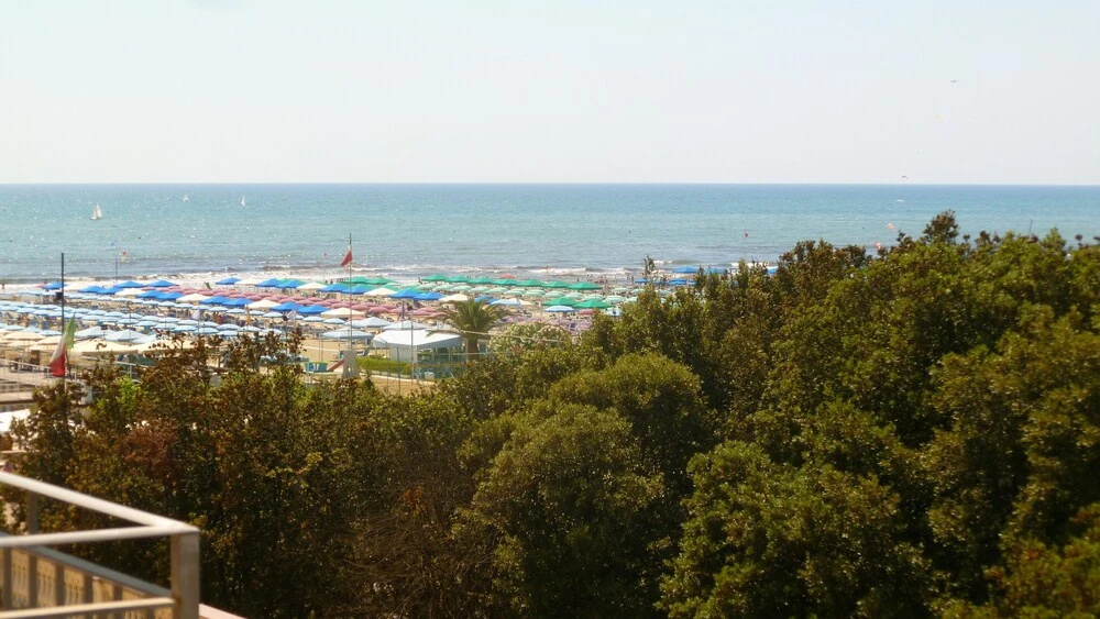 Beach & Waterfront