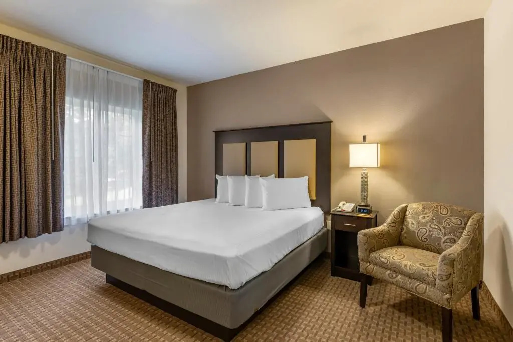 Stay-Over Suites - Chambres