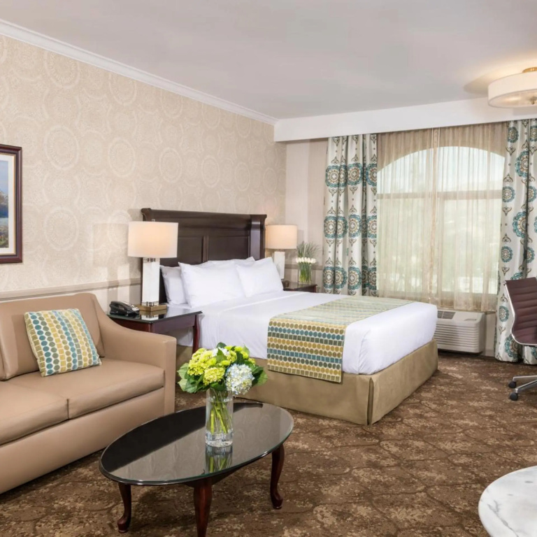 Ayres Suites Yorba Linda - Général