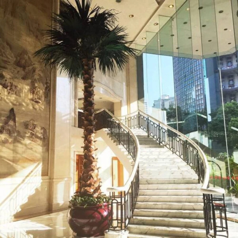 Dolton International Hotel Changsha - фото 17