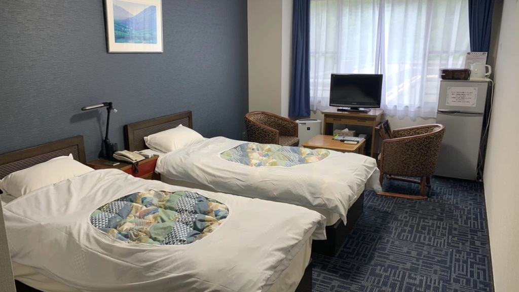 Standard Double room (twin beds)
