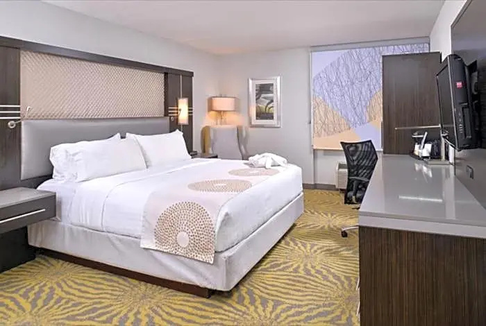 Holiday Inn Dallas-Richardson by IHG - Chambres