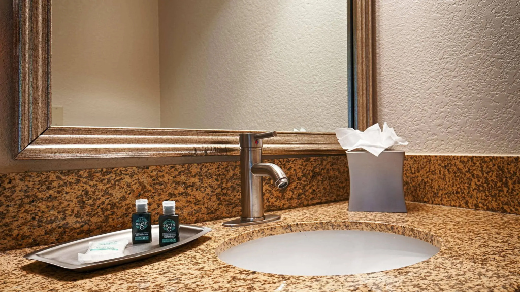 Best Western Plus Milwaukee Airport Hotel & Conference Ctr - Général