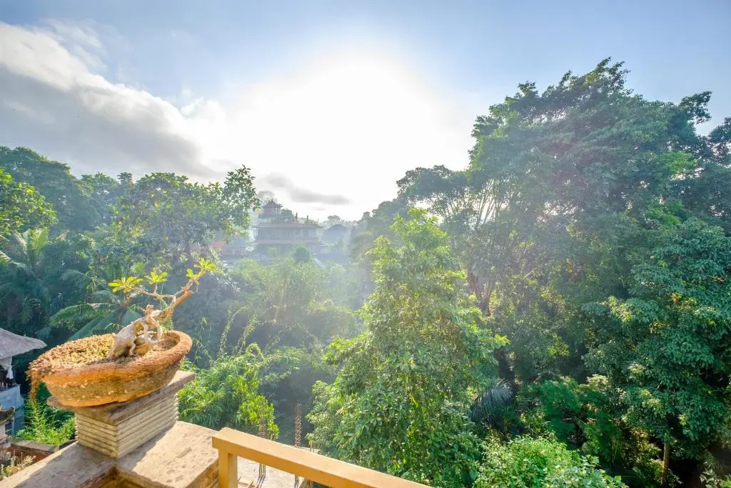 Bali Ubud Harmony