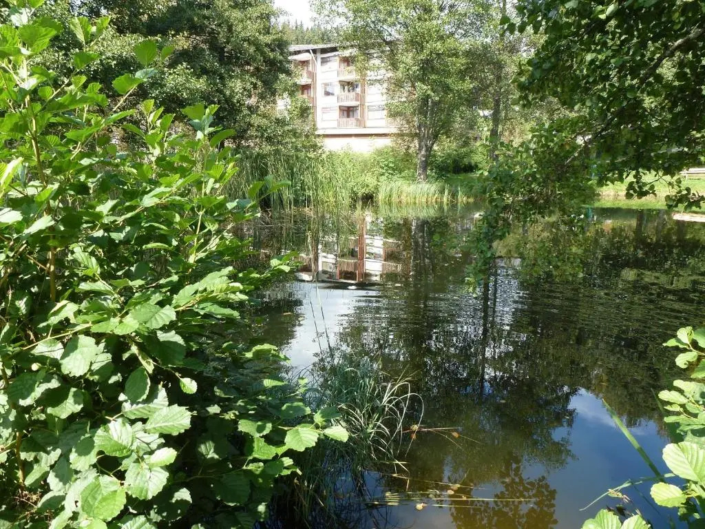Ferienwohnung Schluchsee - Chambres