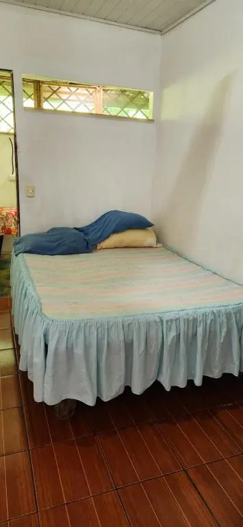 Alba rent 2