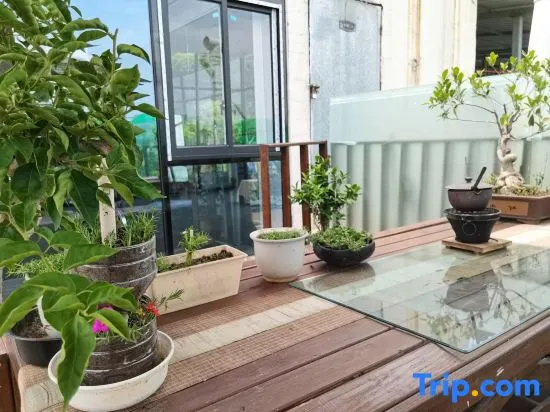 Balcony & Terrace