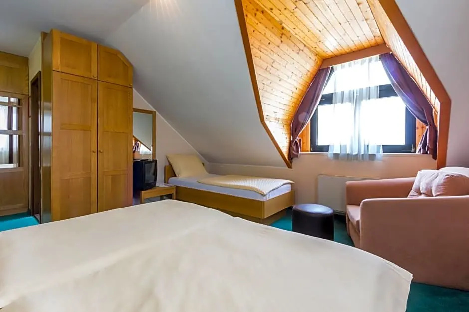 Hotel Arena Maribor - Chambres