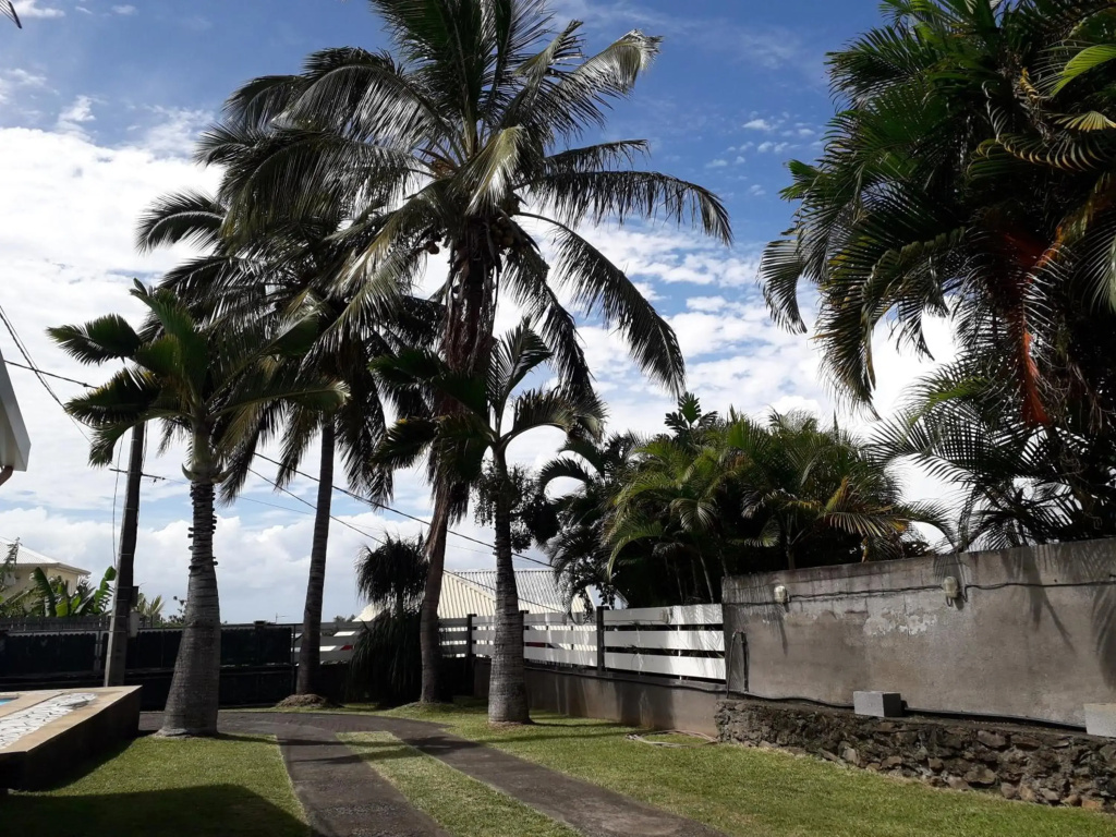 Hotel photo 30