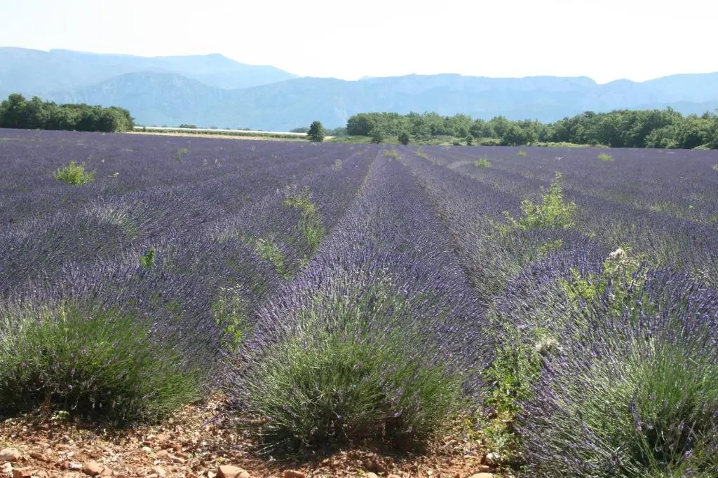 Villa Du Verdon