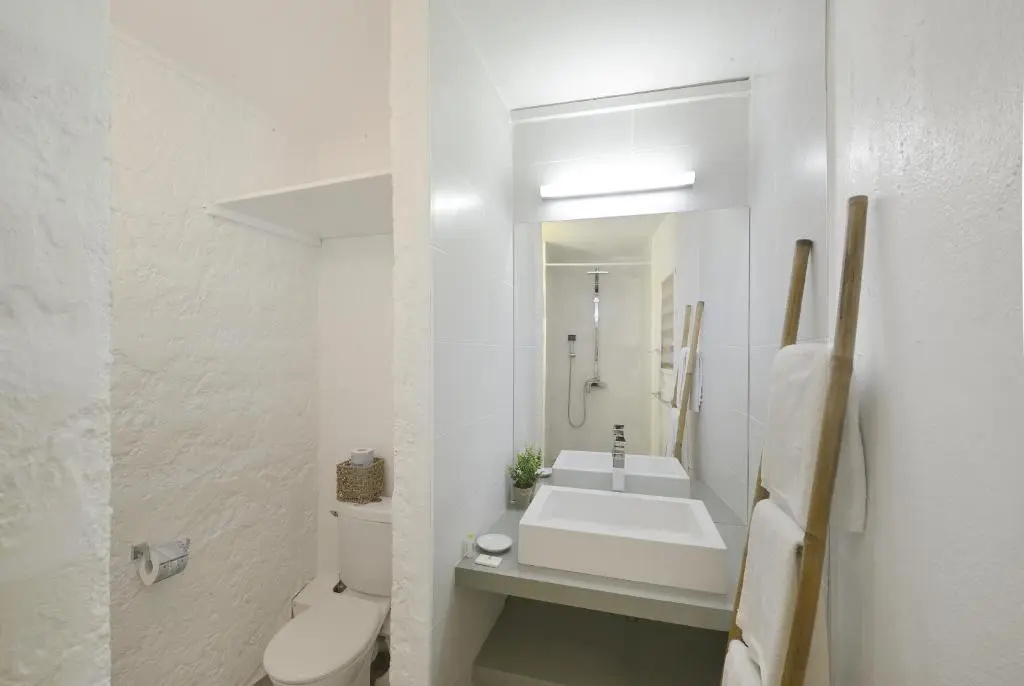 Superior Double room with garden view (full double bed)