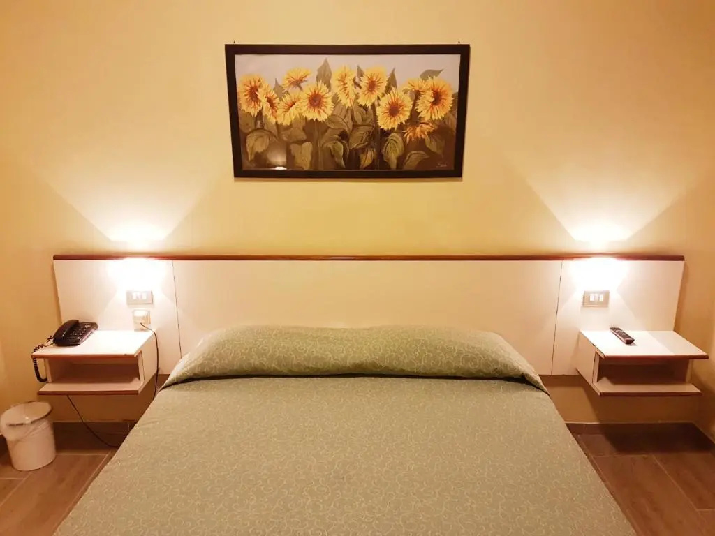 Standard Double room (full double bed)