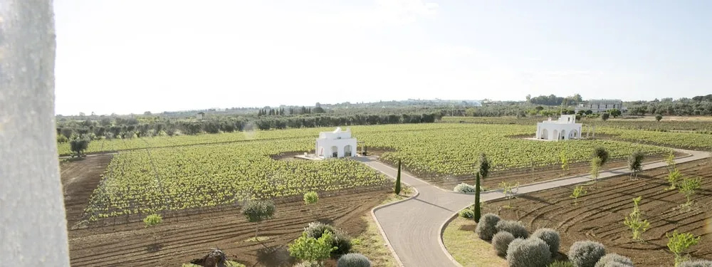 Tenuta Yala - фото 23