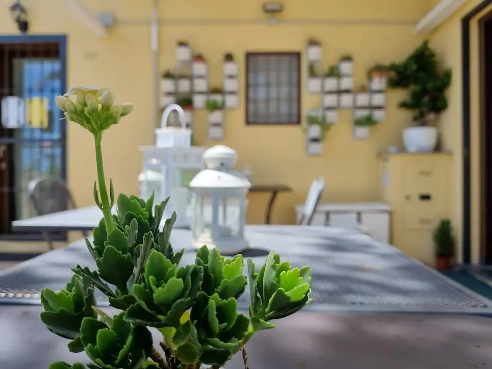 La Finestra Sul Colle B&B