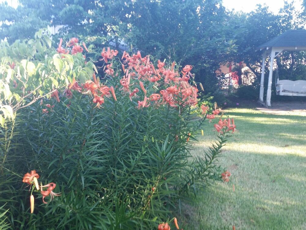 Image 14