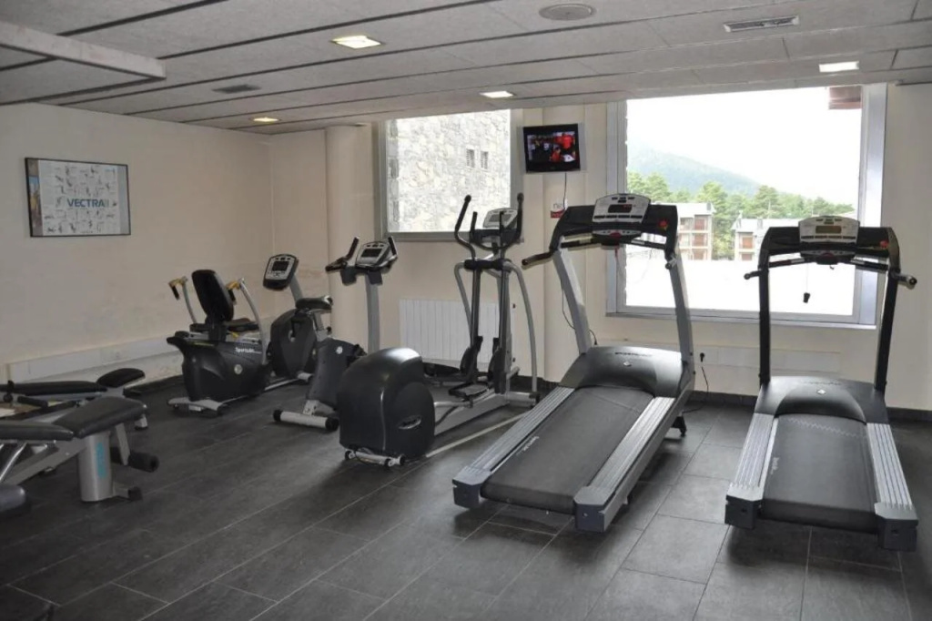Hotel Guitart la Molina Aparthotel & Spa - Général