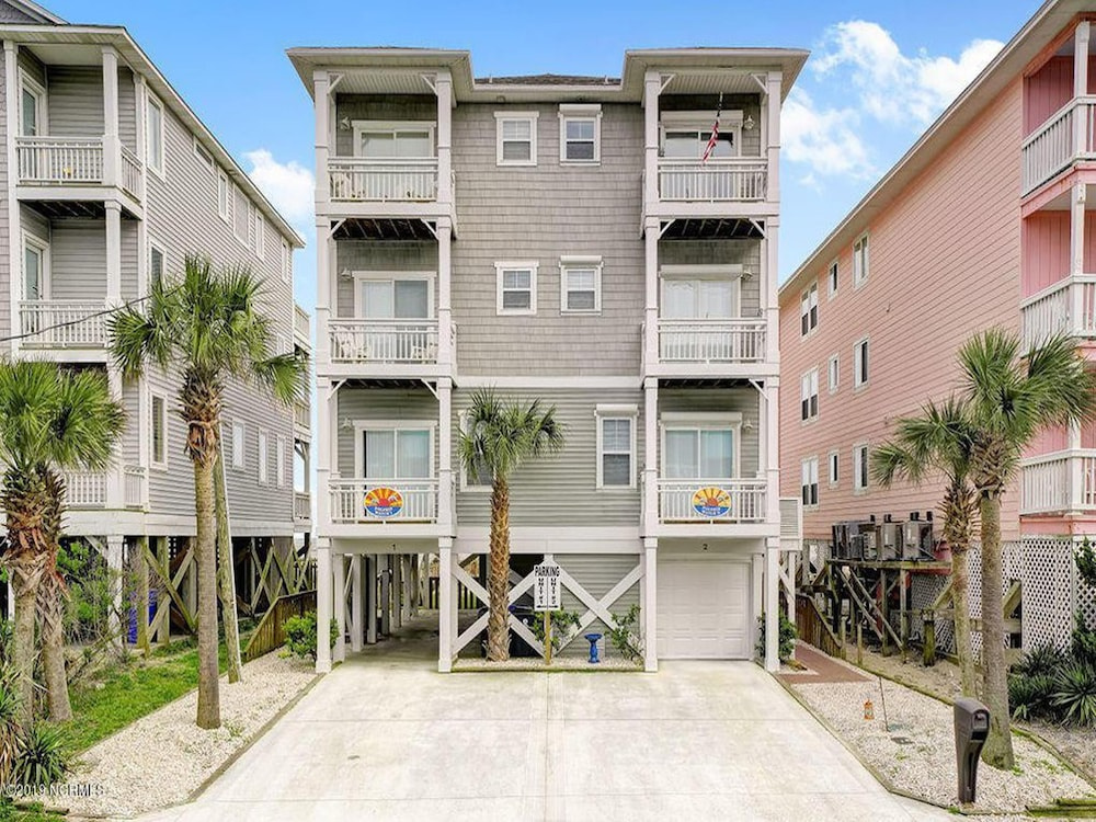 Dolphin Watch