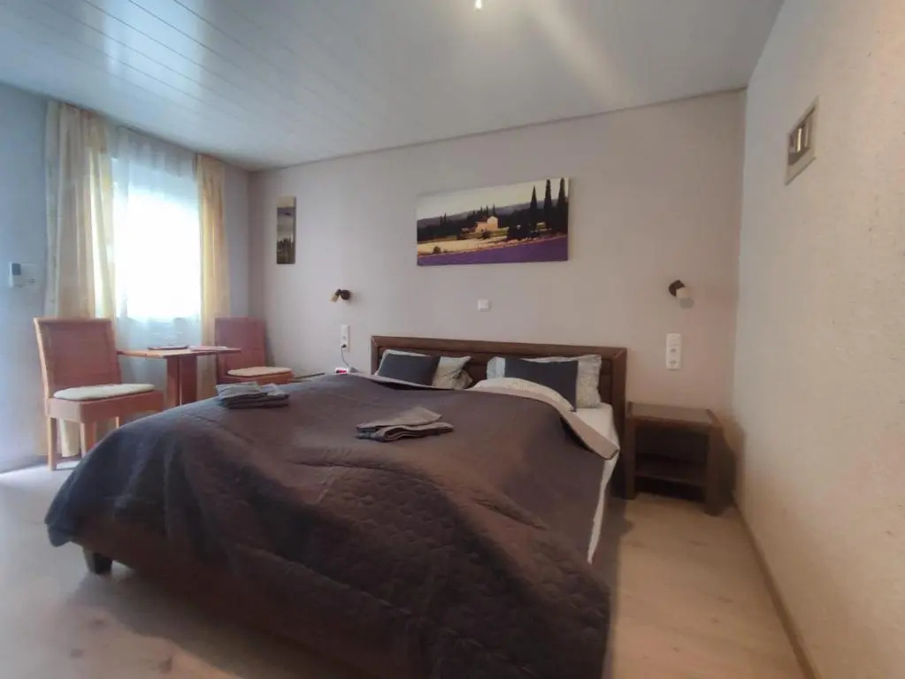 Standard Double room with garden view (full double bed)