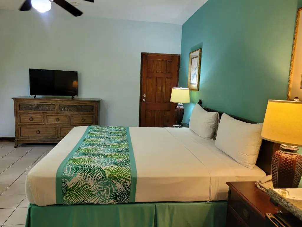 Deluxe Double room (full double bed)