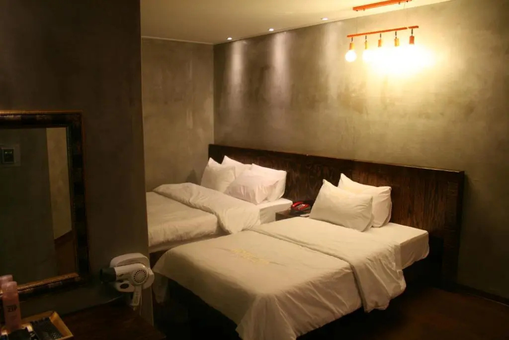 Deluxe Double room (twin beds)