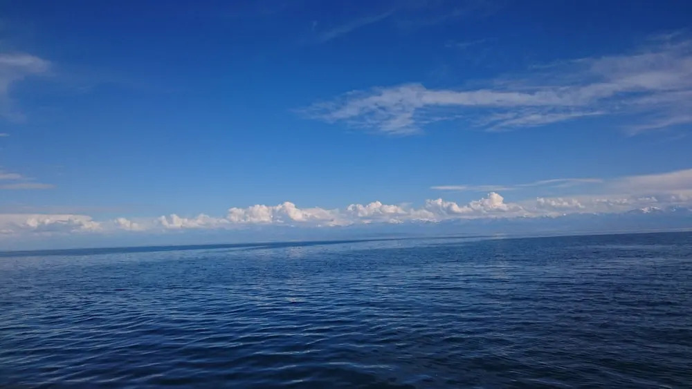 Family club Royal appricot - фото 13