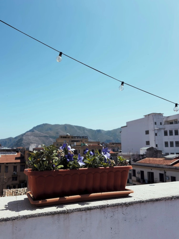 Hotel photo 35