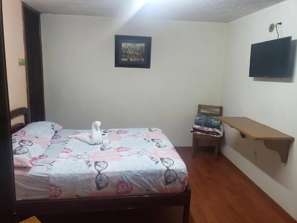 Standard Double room (full double bed)
