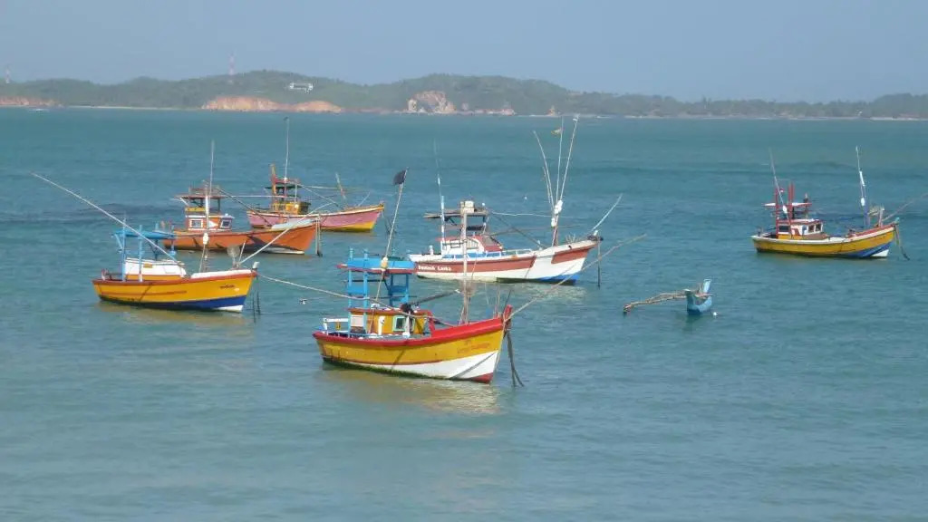 Weligama Ocean Breeze - фото 11