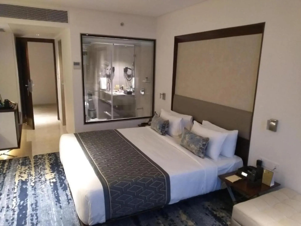 Sayaji Vadodara - фото 14