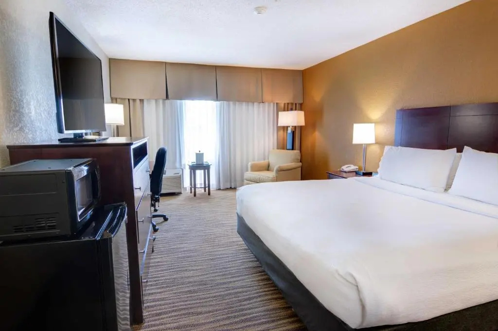 Holiday Inn St Petersburg N - Clearwater by IHG - Chambres