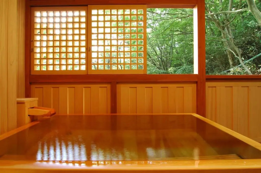 Hakone Tokinoshizuku - Chambres