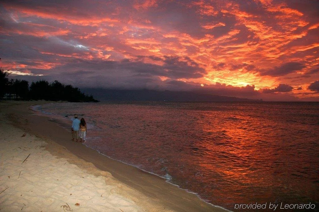 Beach & Waterfront