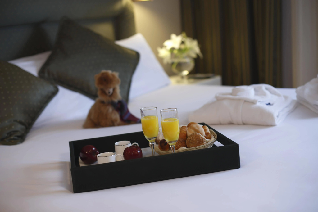 Hotel photo 10