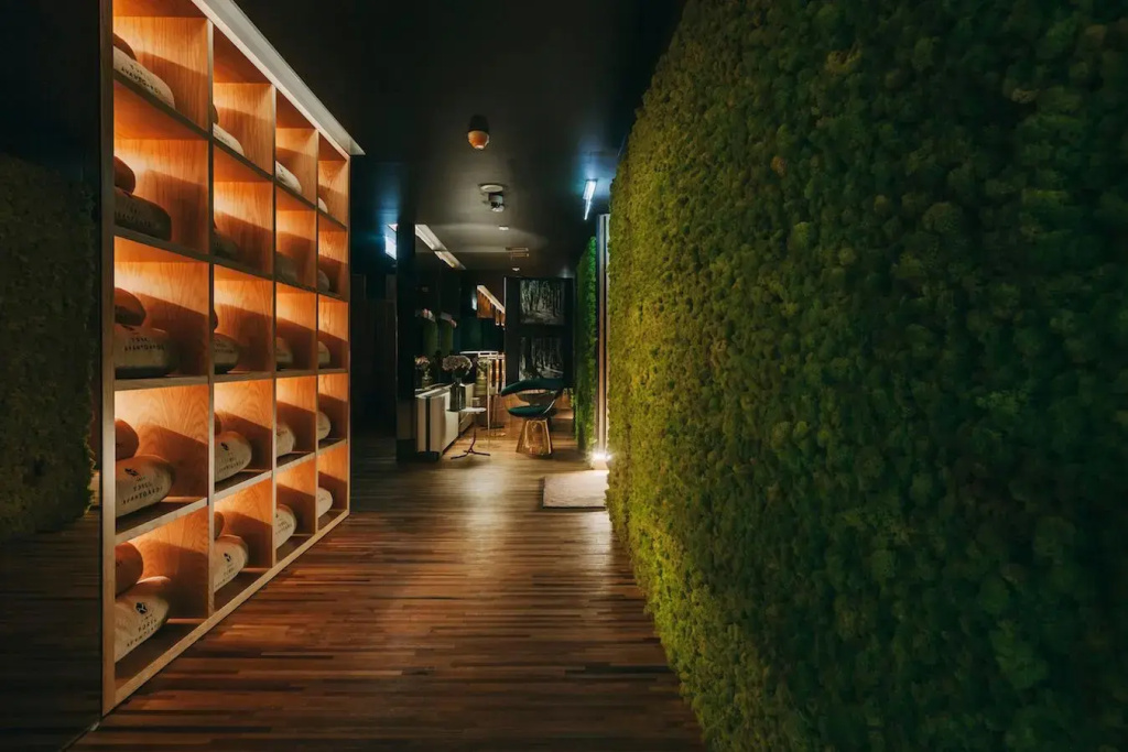 Hotel Torel Avantgarde image General