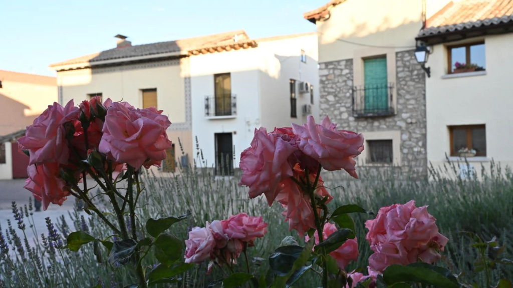 Casa Rural Antigua Botica