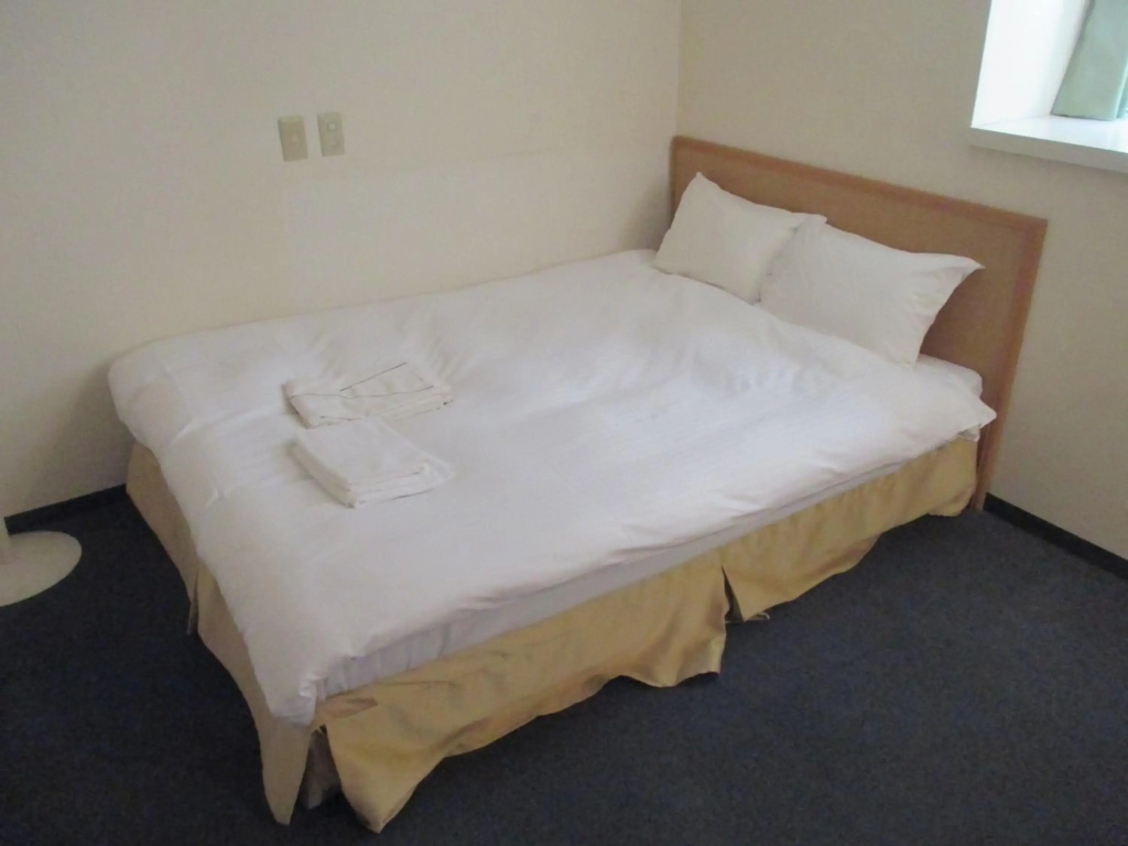 Hotel Green Well - Général