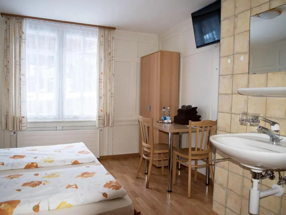 Standard Double room (full double bed)
