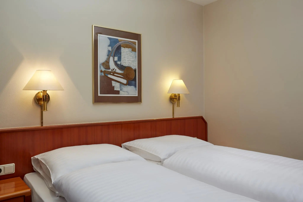 Standard Double room (full double bed)