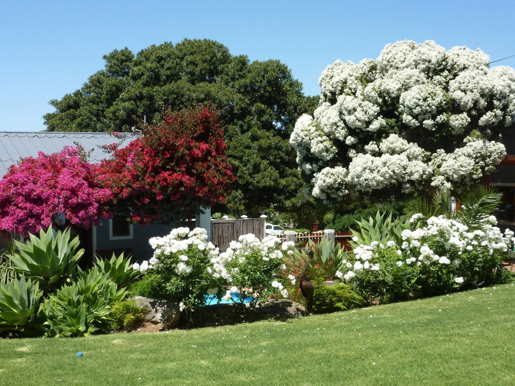 Marula Lodge Guesthouse