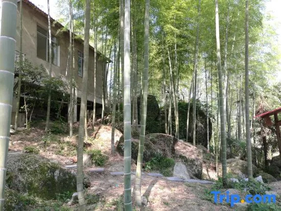 Xing'an Mao'er Mountain Bamboo Xiyuan
