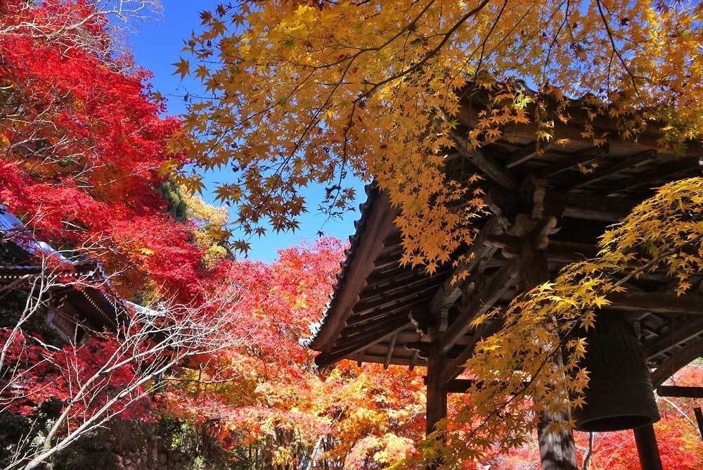 Kyoto Stay SAKURA Toji West 2 사진 12