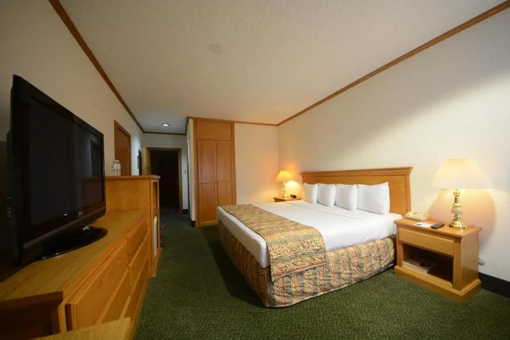 Deluxe Double room (full double bed)