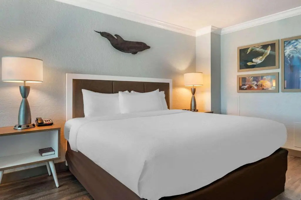 Dolphin Sands Clearwater Beach, an Ascend Collection Hotel - Chambres