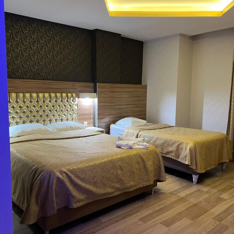 Grand Ezel Hotel - Général