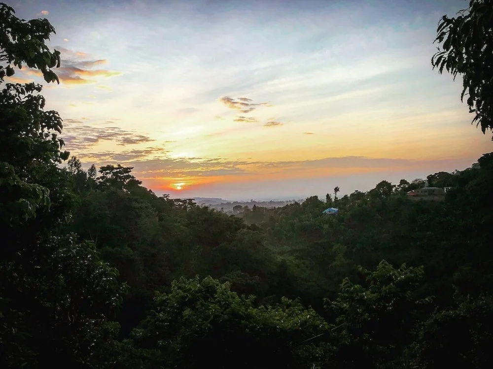 Songota Falls Lodge - Général