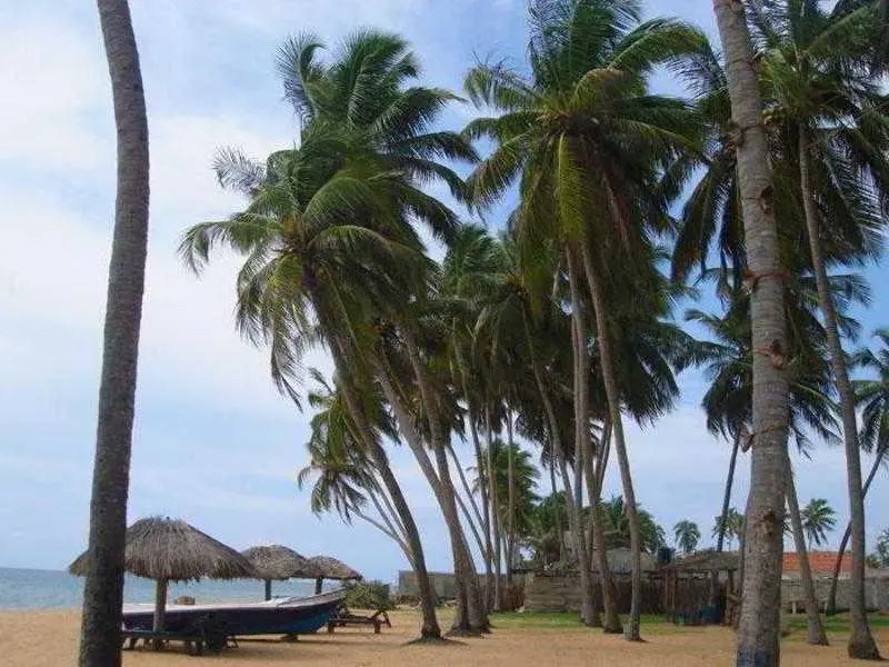 Beach & Waterfront