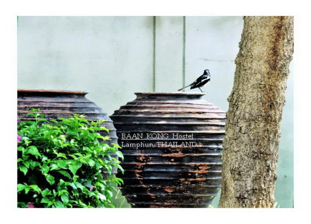 Baan Kong Hostel Lamphun