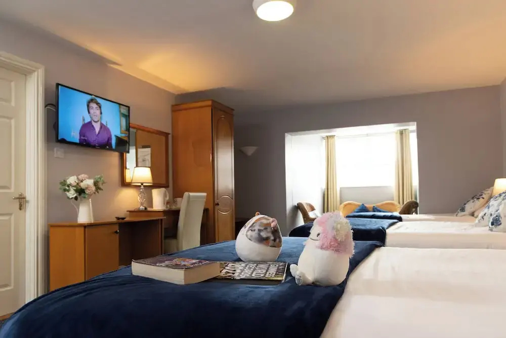Superior room