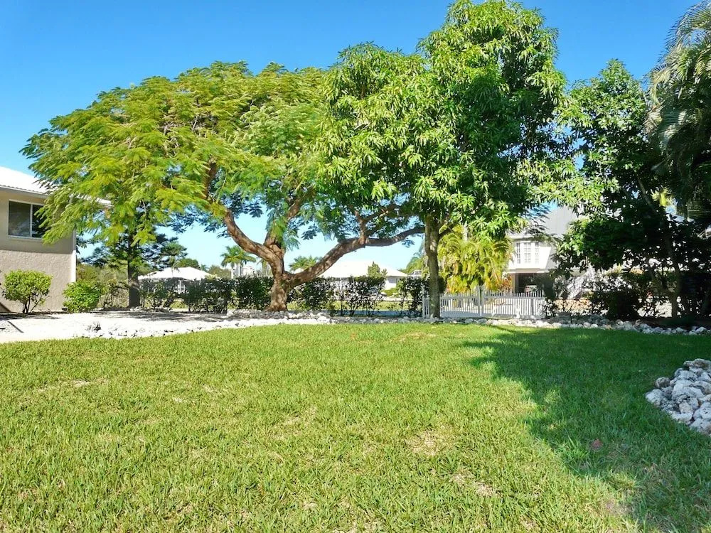 739 Orchid Court