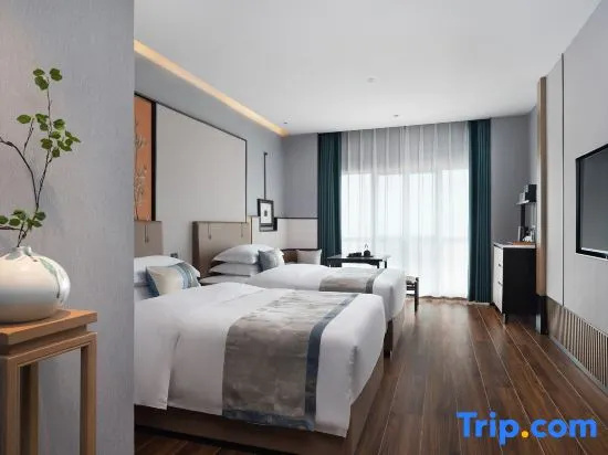 Standard Double room with city view (twin beds)